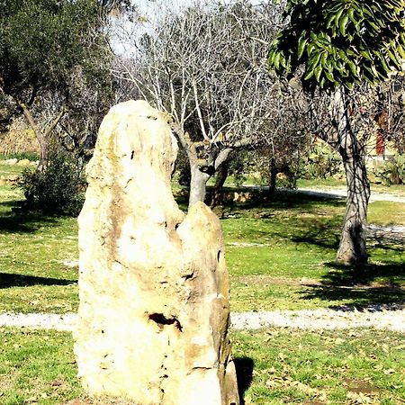 Al Vecchio Fontanile B&B Ladispoli Exterior foto